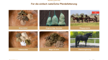 Website Erstellung Equisana
