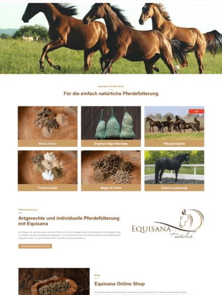Website Erstellung Equisana Online Shop
